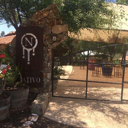 Guest House Nativo - Charming, Cozy & Affordable Valle de Guadalupe Exterior foto