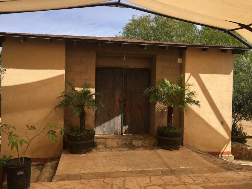 Guest House Nativo - Charming, Cozy & Affordable Valle de Guadalupe Exterior foto