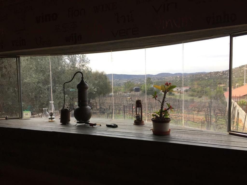 Guest House Nativo - Charming, Cozy & Affordable Valle de Guadalupe Exterior foto